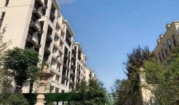 今天楼盘爆料最新消息,揭秘神秘项目即将亮相