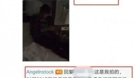 吴某爆料女星视频播放,揭秘女星私密视频播放背后的真相